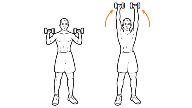 Water Bottle Overhead Shoulder Presses – WorkoutLabs Exercise Guide