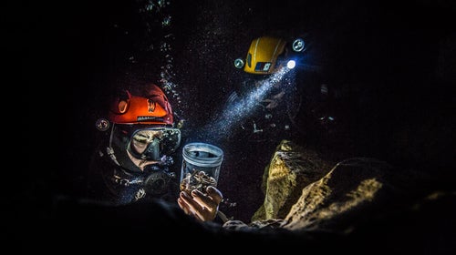 Zachary Klukkert (left) and Angel Compres examine fossils recovered form Padre Nuetsro cave in Bayahibe, in the Dominican Republic.