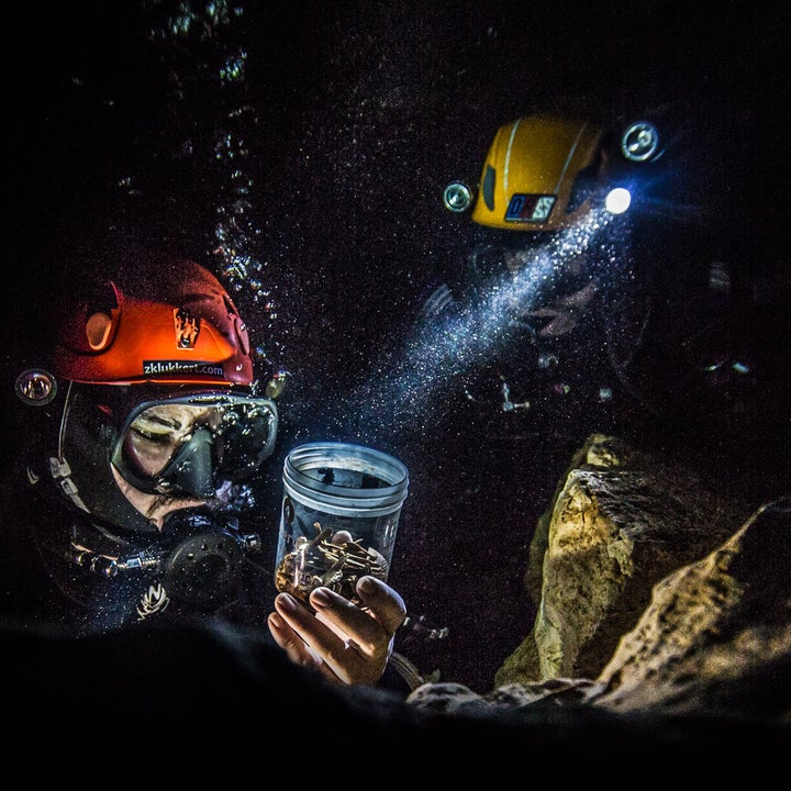 Zachary Klukkert (left) and Angel Compres examine fossils recovered form Padre Nuetsro cave in Bayahibe, in the Dominican Republic.