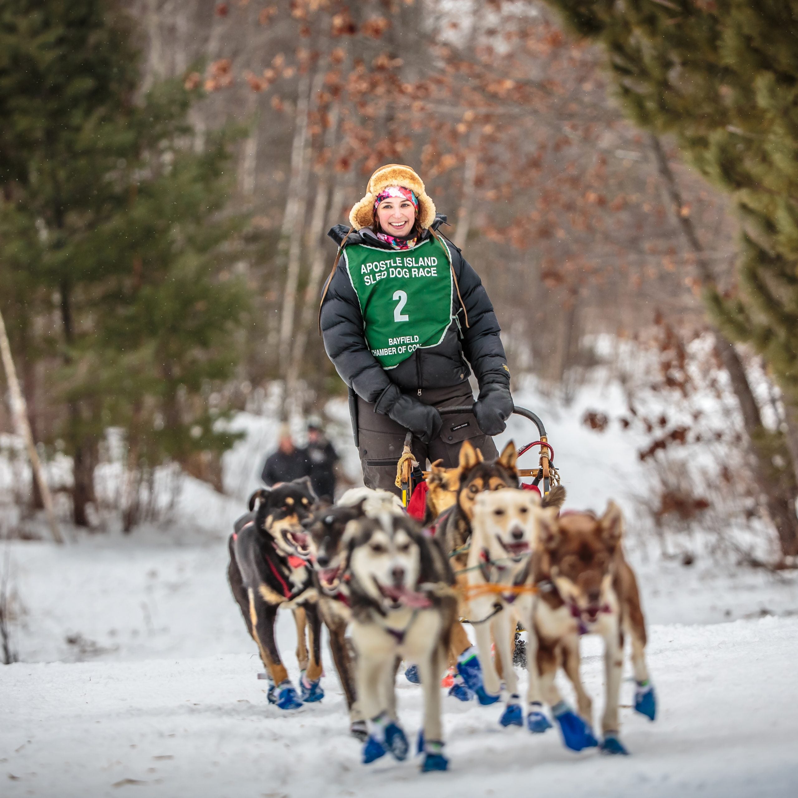 Mushers train with their dogs to win winter races