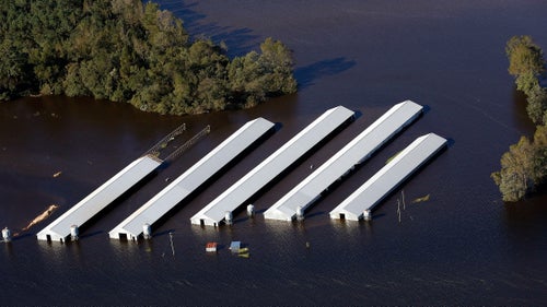 #7 Neuse and Cape Fear Rivers
North Carolina
The Neuse and the Cape Fear rivers provide drinking water to about 40 percent of North Carolina鈥檚 residents. But sprawling hog and chicken farms on the state鈥檚 coastal floodplains鈥擭orth Carolina rears more pigs than almost any other state鈥攖hreaten the rivers. Waste from these animals sit in large open lagoons and serious floods and hurricanes have already spread the fecal matter into local waterways. If the state doesn鈥檛 move the waste ponds, American Rivers says, even more waste will likely end up in Carolinians鈥 drinking water.