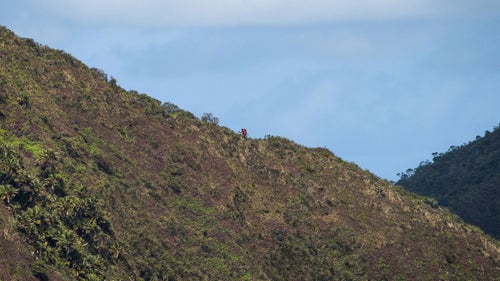 The summit ridge is a roller coaster of ups and downs through thick overgrowth. Sticks poke and prod, bushes snag your pack and clothing, and unstable rocks challenge hikers the whole way.