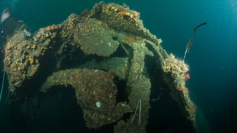 The USS Houston as seen during a survey dive in 2015, before its disappearance.