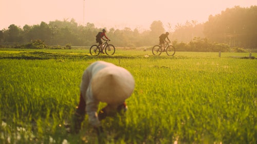 In 1972, the father of four-time world champion mountain biker Rebecca Rusch died when his plane was shot down over Laos during the Vietnam War. She was three years old at the time. More than 40 years later, Rusch decided to set out on the 1,200-mile Ho Chi Minh Trail in search of her father鈥檚 crash site. Accompanied by Vietnamese cycling champion Huyen Nguyen, a small support team, and a film crew from Red Bull Media House (they鈥檒l release a film this summer), Rusch and Nguyen traveled through villages, jungle, and rugged terrain for just under a month in the spring of 2015.
We caught up with Rusch, who lives in Idaho, to give us a preview of the upcoming film, Blood Road.
New trailer out now!
Photo: Rebecca Rusch and Huyen Nguyen pedal the Ho Chi Minh Trail through the rice fields of Vietnam. During the war, the trail acted as a pathway of support, materials, and military personnel, stretching from the northern part of the country through Laos, Cambodia, and into southern Vietnam. Rusch and Nguyen began their ride in Hanoi.