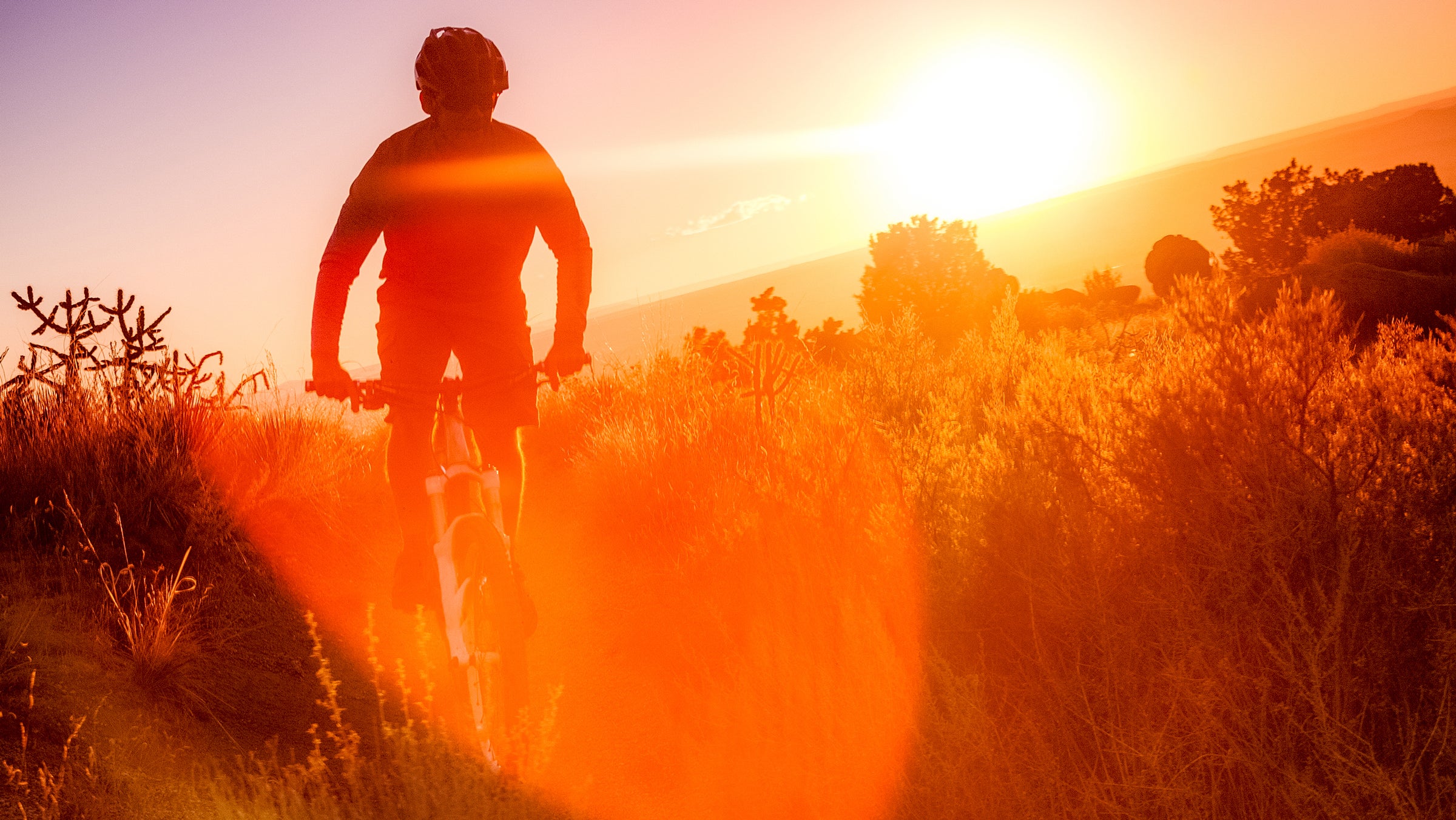 Don't let the sun get the best of you. 