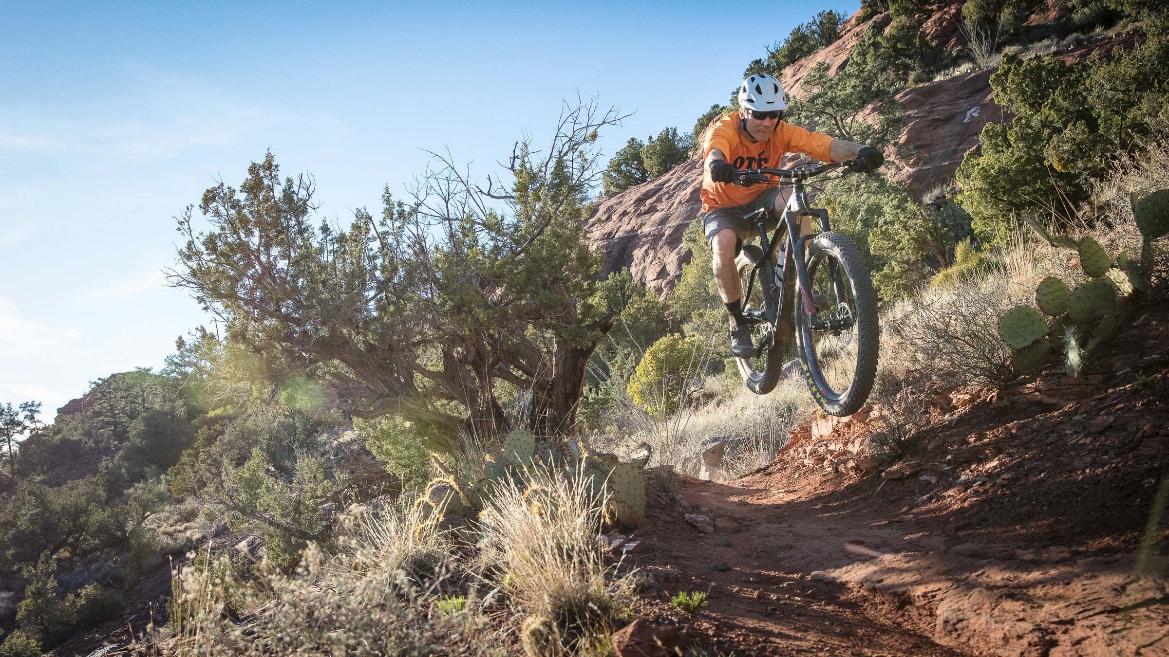 Trek stache mountain discount bike