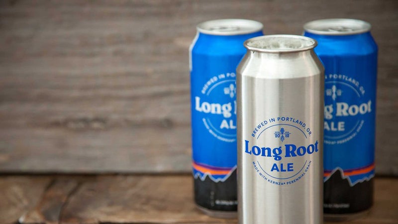 Patagonia Long Root ale.
