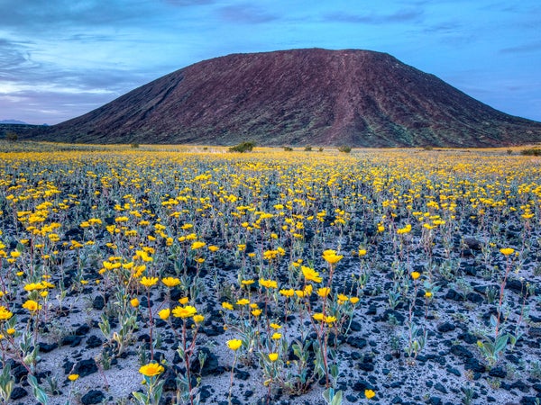 Amboy Crater, off the old Route 66 in the eastern Mojave Desert.