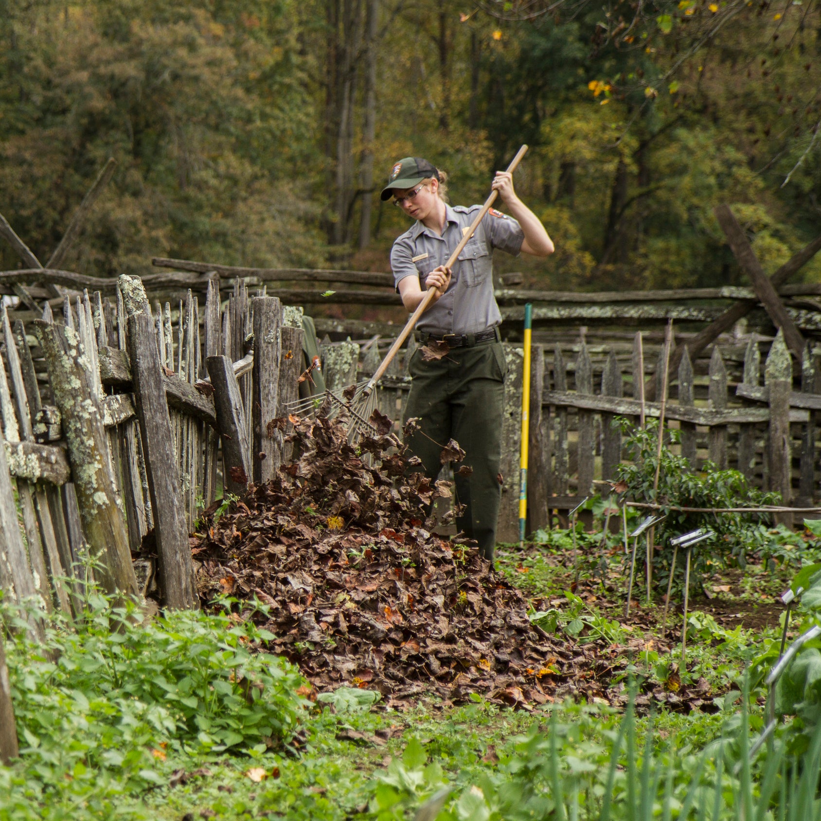 A park ranger attends to maintenance at North Carolina's Great Smoky Mountains National Park.