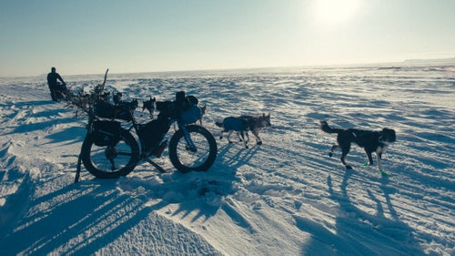 I pulled over to let a team of dogs pass along this narrow stretch of trail. There was a camaraderie and mutual respect among those of us racing the Iditarod by bike and foot and the mushers competing with their dog teams.
