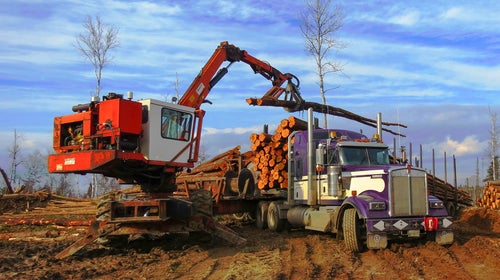 A logging truck loads up with freshly cut trees in Canada.