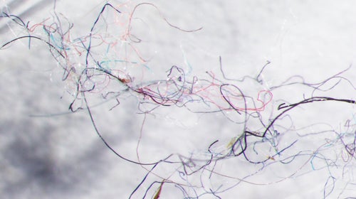 A seawater sample from Vancouver shoreline, with clearly evident fibers of different colors.