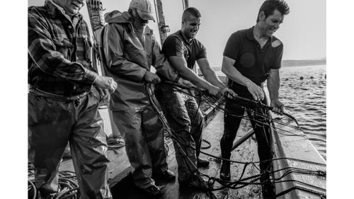Aboard the Bermudez, the sun is slowly warming the decks as we near the hunting grounds. The youngest members of the group, the divers, slip into neoprene suits to head below the waves and scout the nets. The day鈥檚 hunt can easily be scuttled by a lack of tuna in the maze or heavy seas鈥攁ny number of reasons that reduce the economic opportunity for these men already working under a short six-week time window. Fortunately, today looks good, the divers report the maze is full, and the crew becomes noticeably more talkative, flashing smiles.