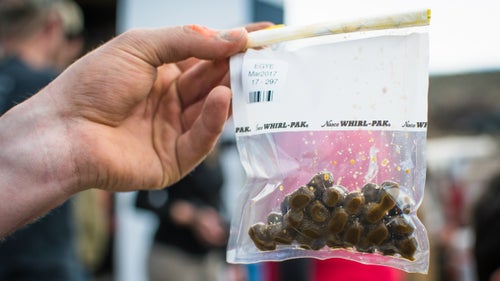 In addition to blood, biologists collect fecal samples directly from the animal. These samples provide valuable insight into animal diet and hormone concentrations, including cortisol, a hormone that gives researchers an indication of the animals鈥 stress levels.