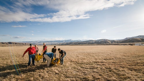 After the helicopter drops off the animals, biologists remove the transport harness and place the animals on litters. They then delicately carry the animals to padded mats, where biologists take measurements and collect samples to check overall health.