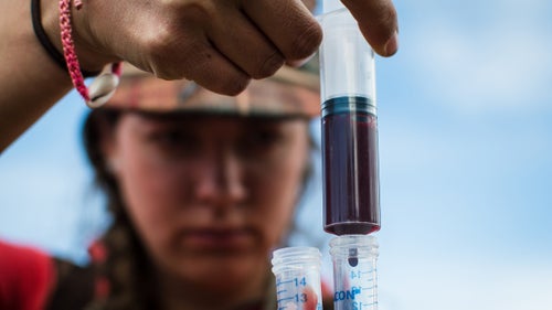 Ortega processes a blood sample collected from a mule deer doe near Lander, Wyoming.
Scientists analyze the blood for hormone concentrations, genetics, and disease. Ortega will continue this research for three more years and promises to post updates on her Instagram.