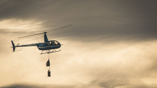 Pilot David Rivers ferries two female mule deer to a staging area where biologists will collect data and deploy GPS tracking collars. These lightweight helicopters can ferry up to three mule deer at a time. To save precious weight, the chopper carries just enough fuel to get through a single job.
