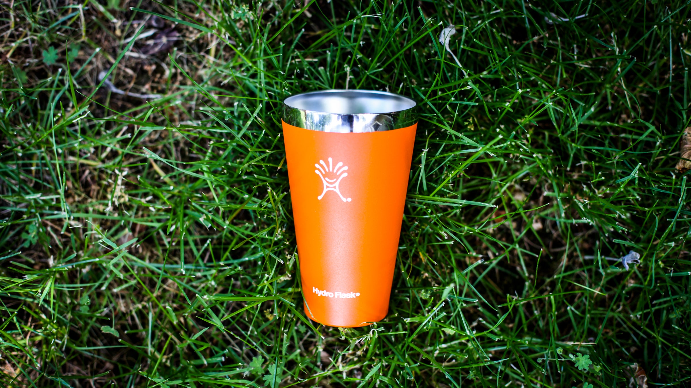 Why the Hydro Flask True Pint Is the Best Cup Ever Made