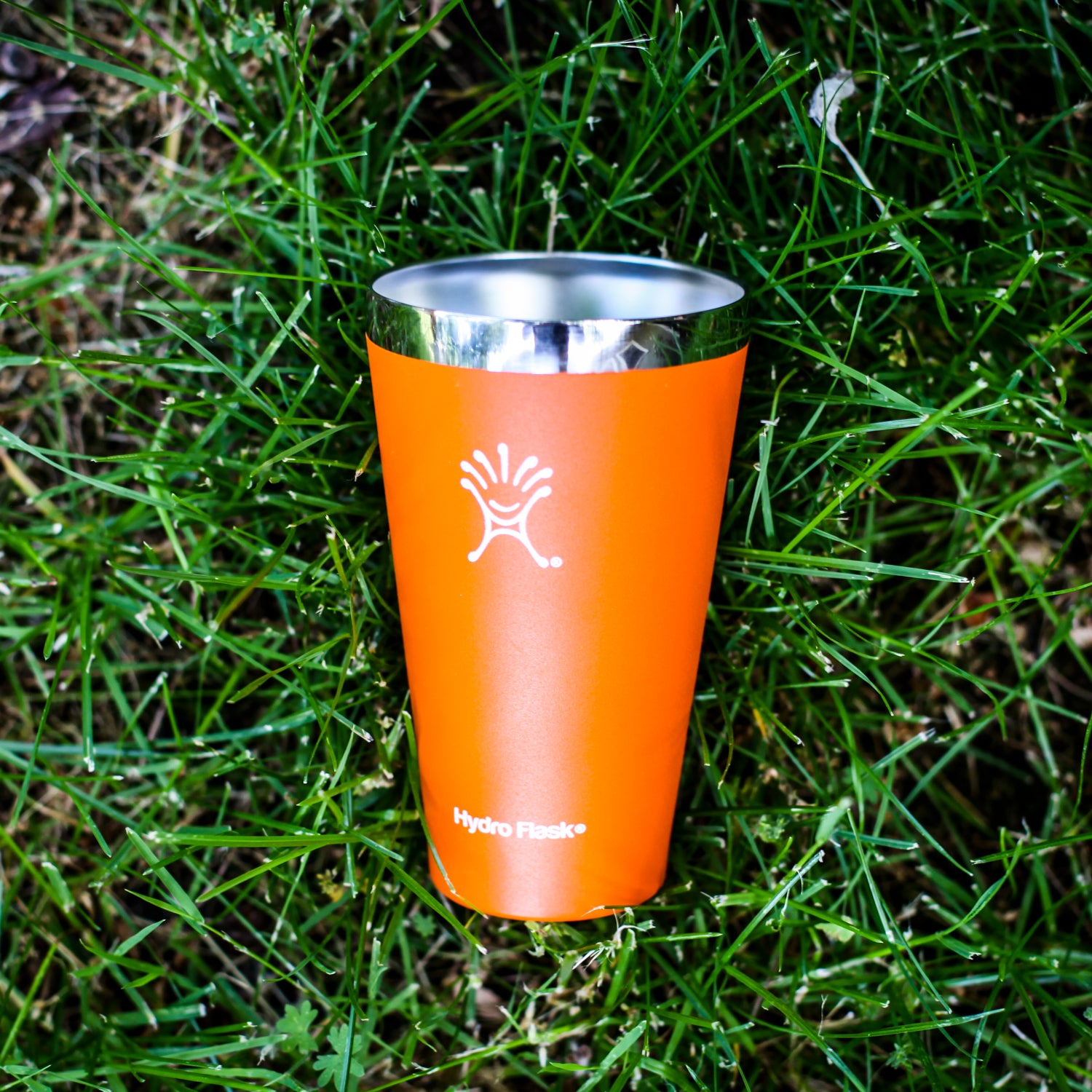 Why the Hydro Flask True Pint Is the Best Cup Ever Made