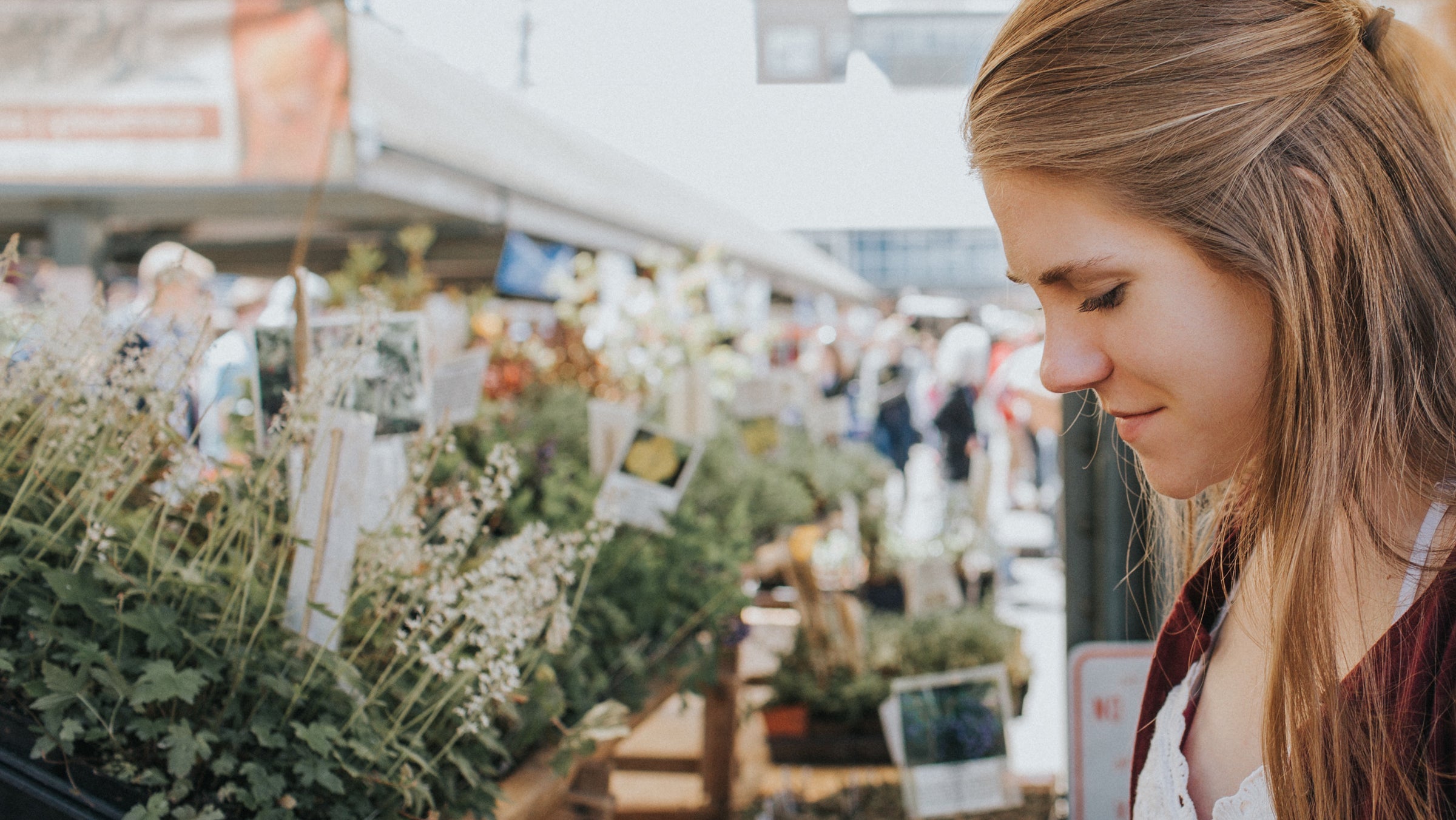 You don't have to go far for healthy native foods.