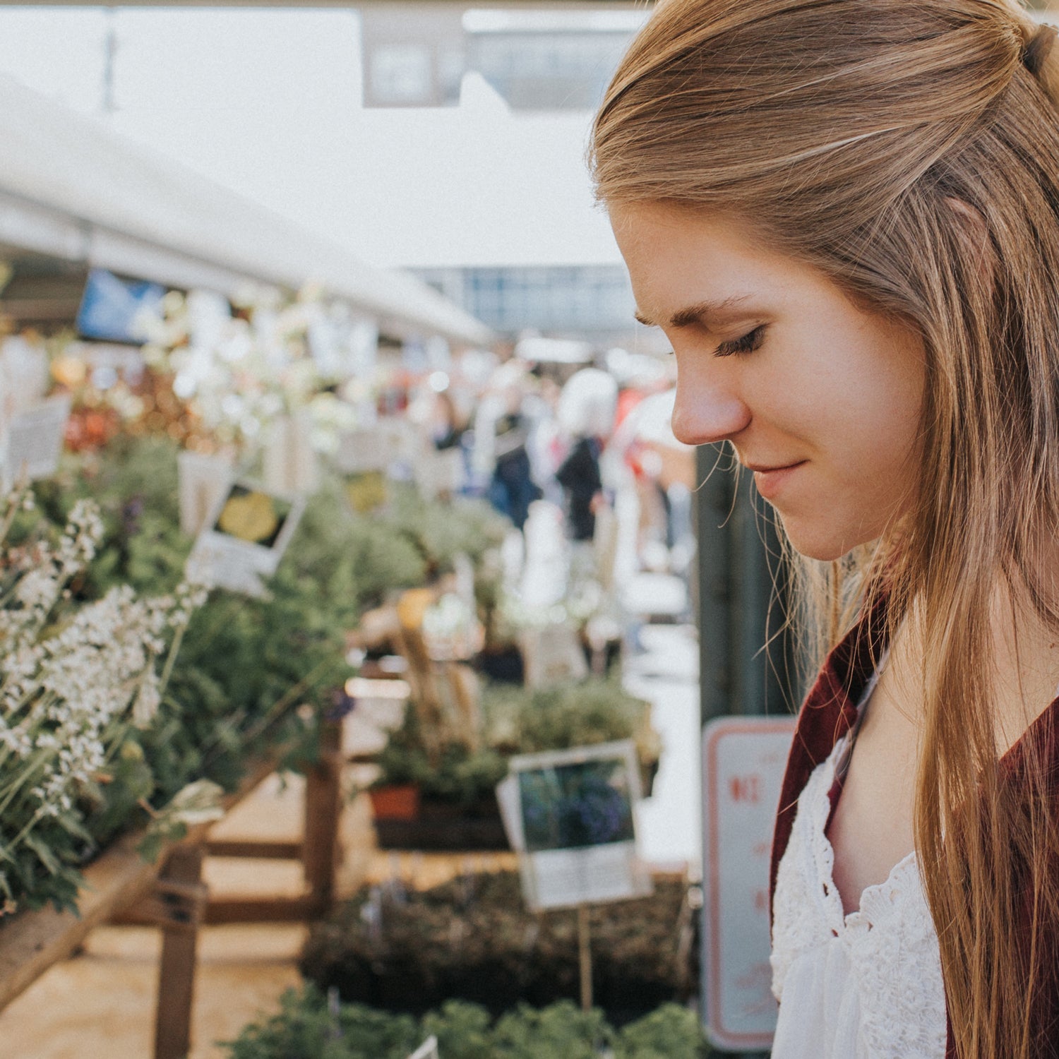 You don't have to go far for healthy native foods.