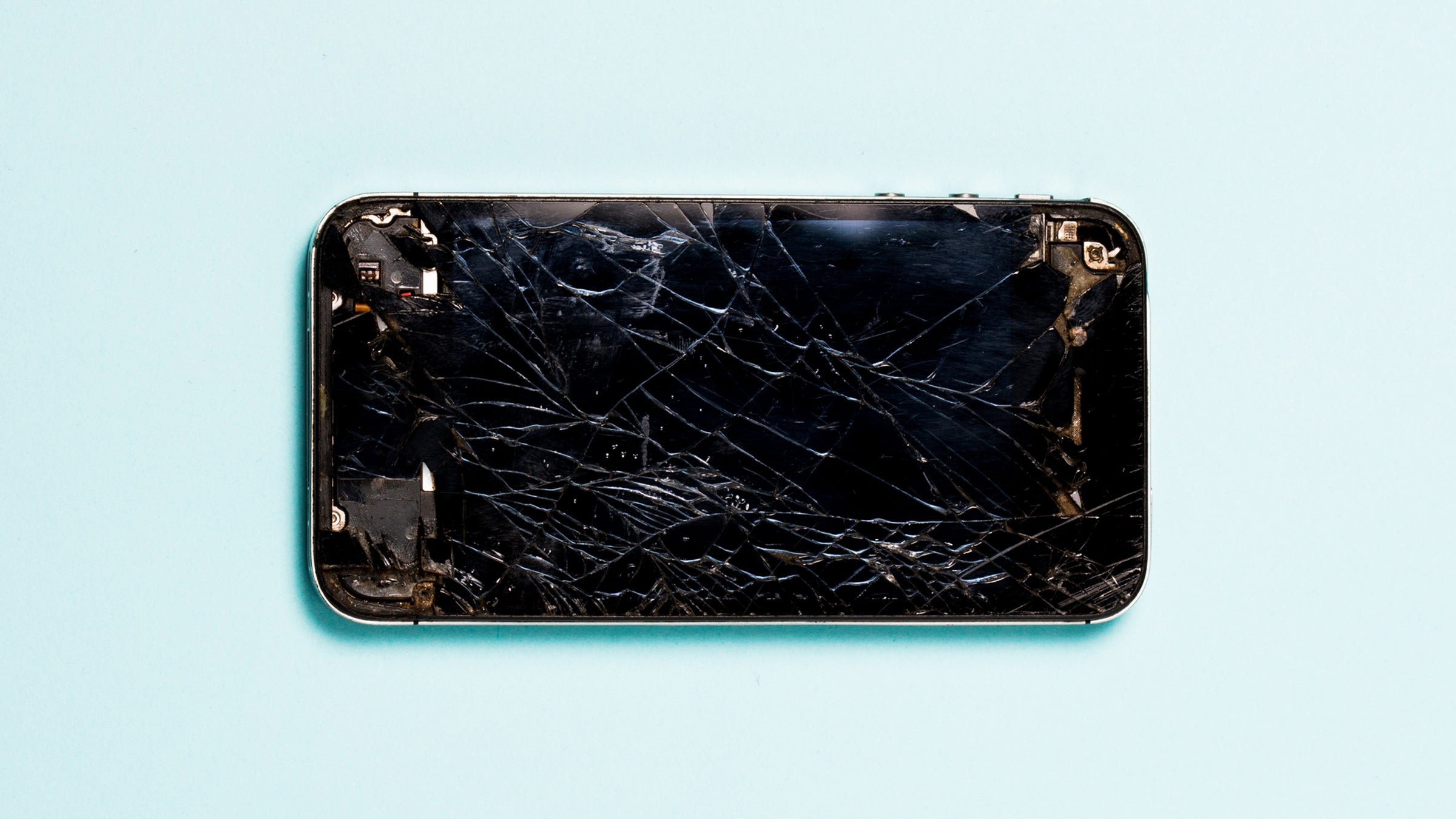 Dating a hashtag fiend? Take a lesson from dog trainers.