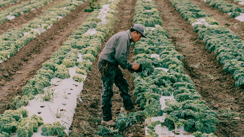 Bringing the farm to the city in Austin.