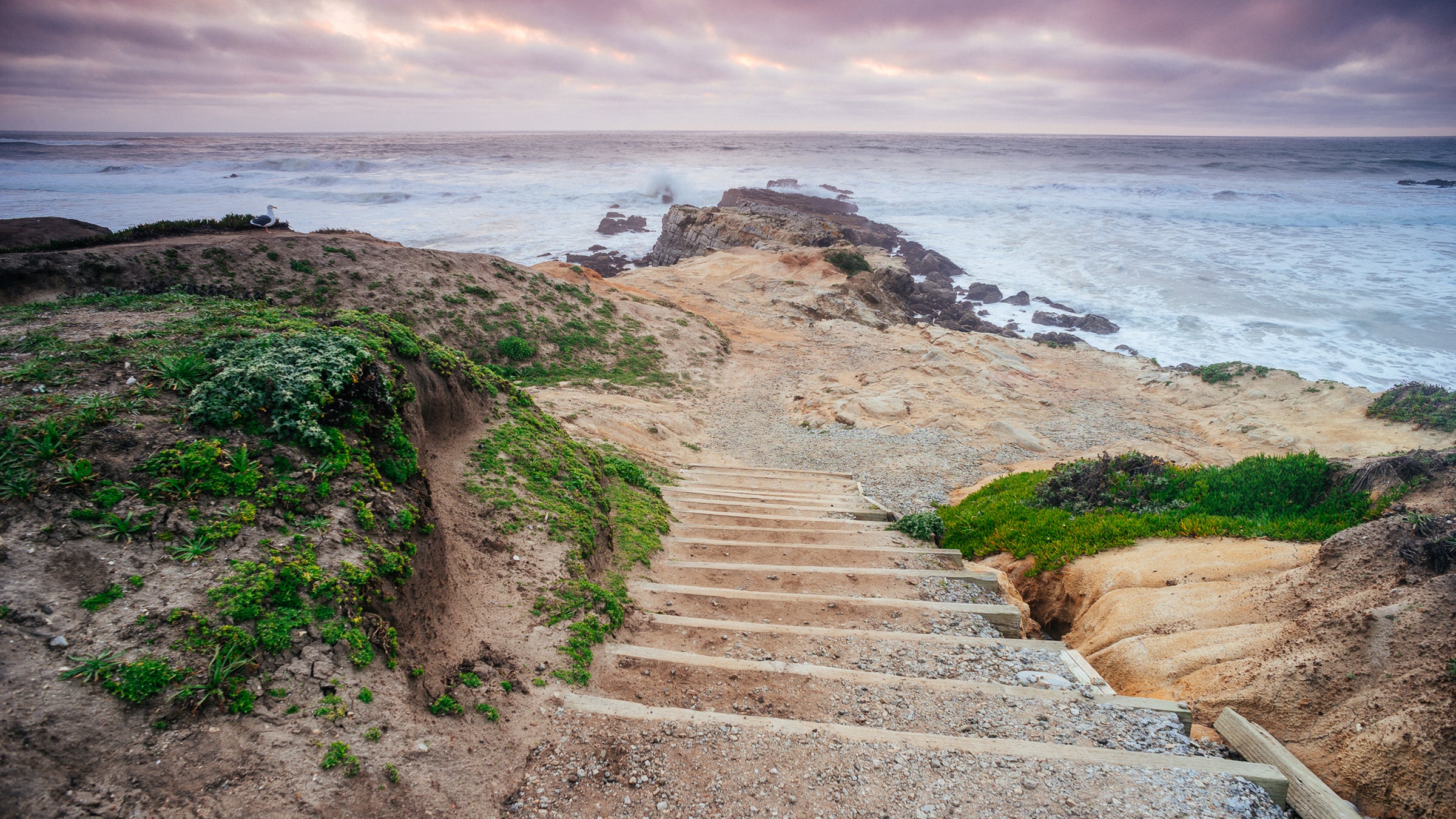 Pescadero State Beach is a sandy mile-long shore, perfect for spotting sea lions and taking sunset walks.