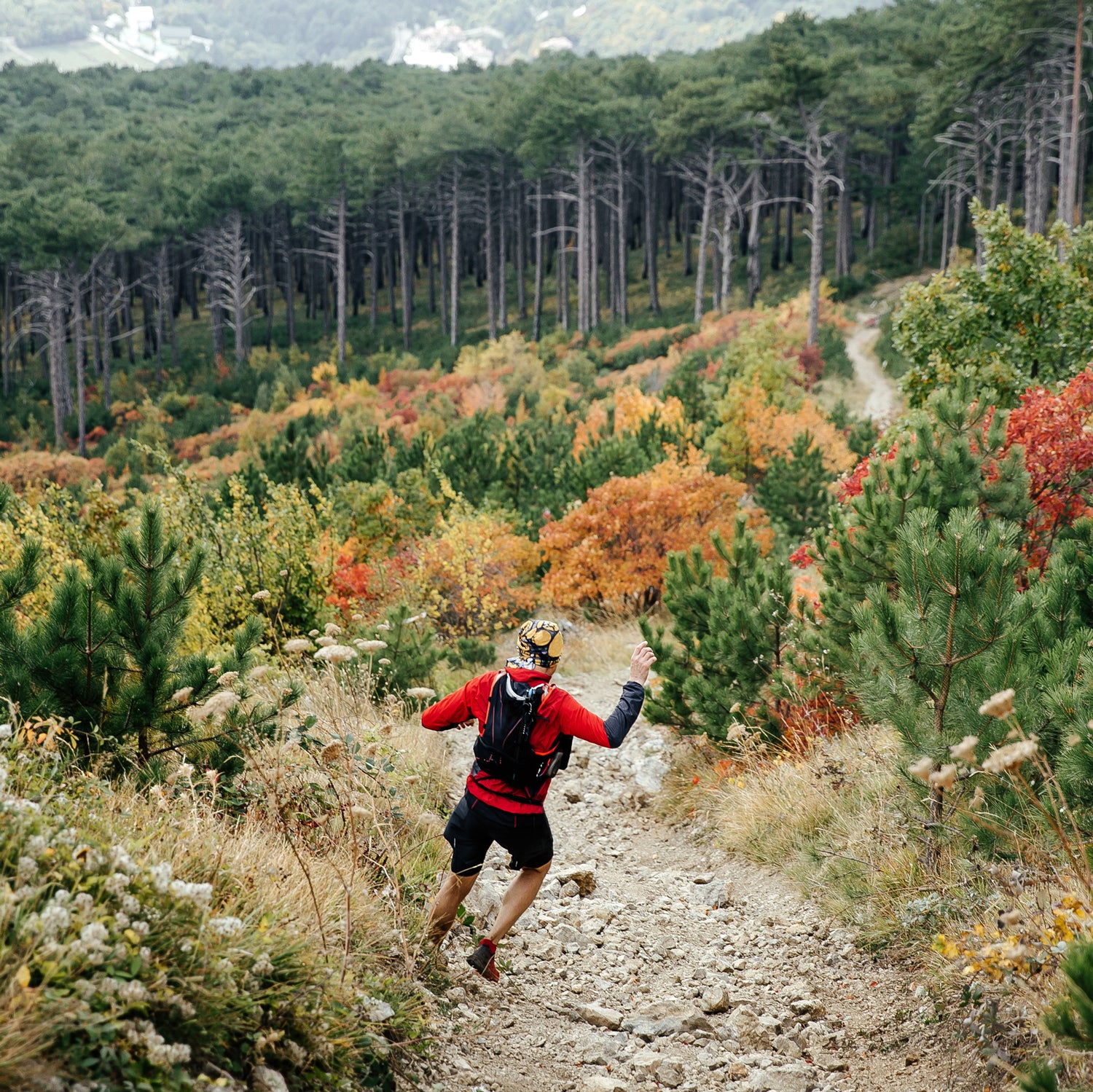 Tackling an uphill climb is very different than mastering the downhill.