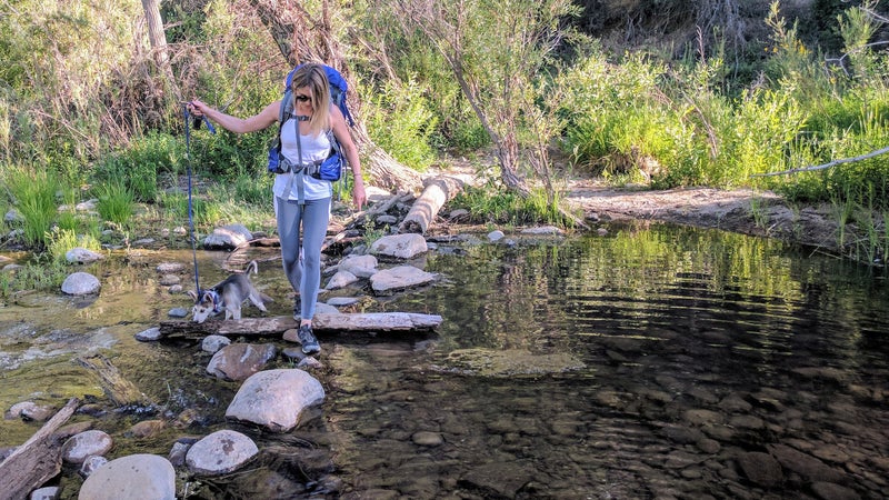 Bowie's first water crossing.