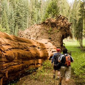 Much of the debate has focused on Bears Ears, but Giant Sequoia National Monument is another area under review.