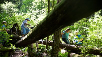 Members of the Breathitt County Hiking Club help one another over a large tree that fell on the hiking trail.