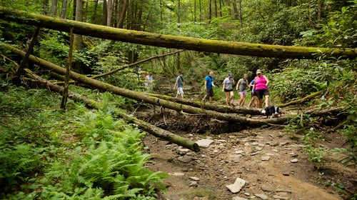 The Breathitt County Hiking Club embarks on a hike to the Copperas Creek Falls. The group's members range in age from 14 to 74.