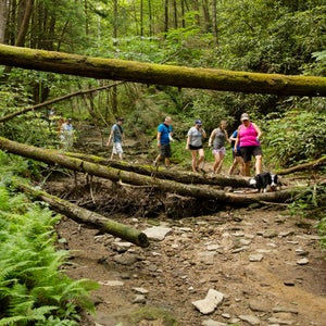 The Breathitt County Hiking Club embarks on an over 5 mile hike on the Copperas Creek Trail and Falls. The group ranges in ages 14 to 64 and is open to all hiking levels.