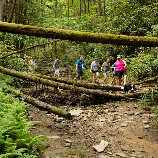 The Breathitt County Hiking Club embarks on a hike to the Copperas Creek Falls. The group's members range in age from 14 to 74.