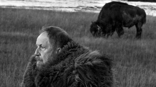 Larry Christensen volunteers in Yellowstone National Park helping animals move safely through the park.