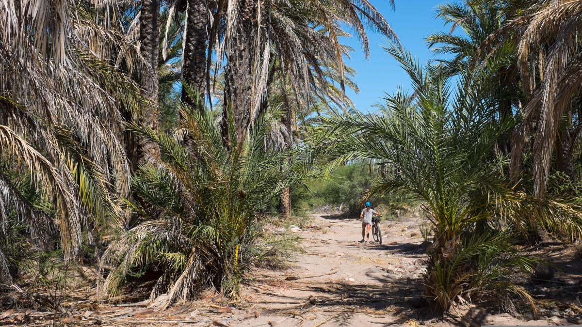 Thru-Hiking Goes Global with New Long-Distance Trails