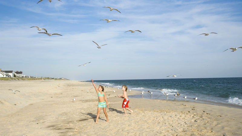 Playing with gulls on Cooper's Beach.