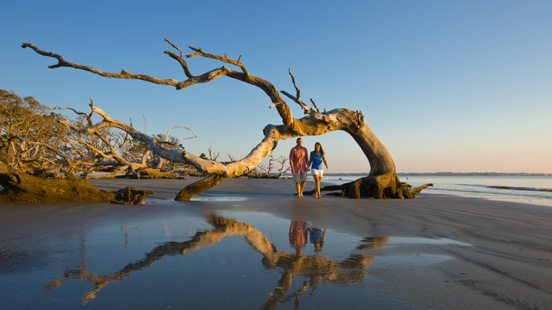 Driftwood Beach on Jekyll Island.