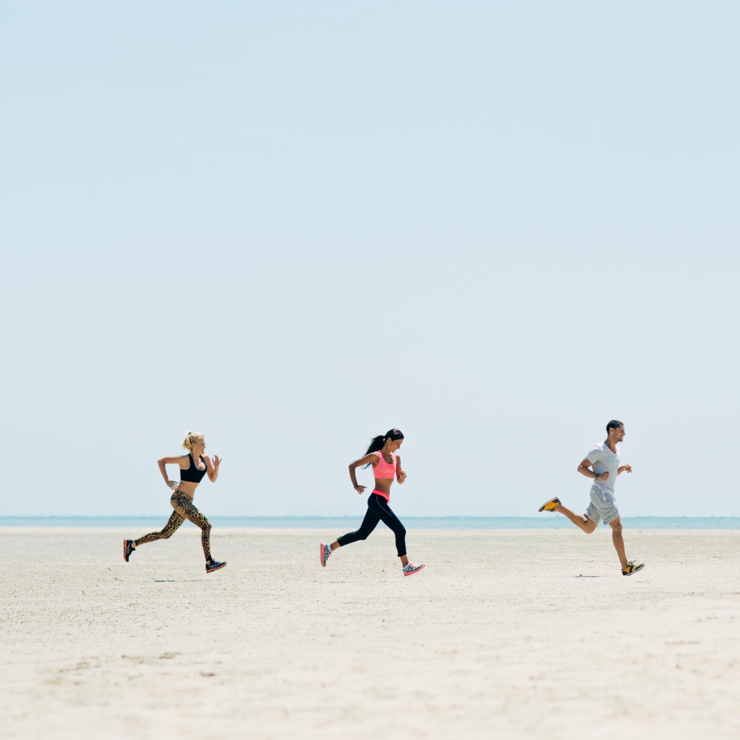 In the digital age, some of the best training plans are found online.