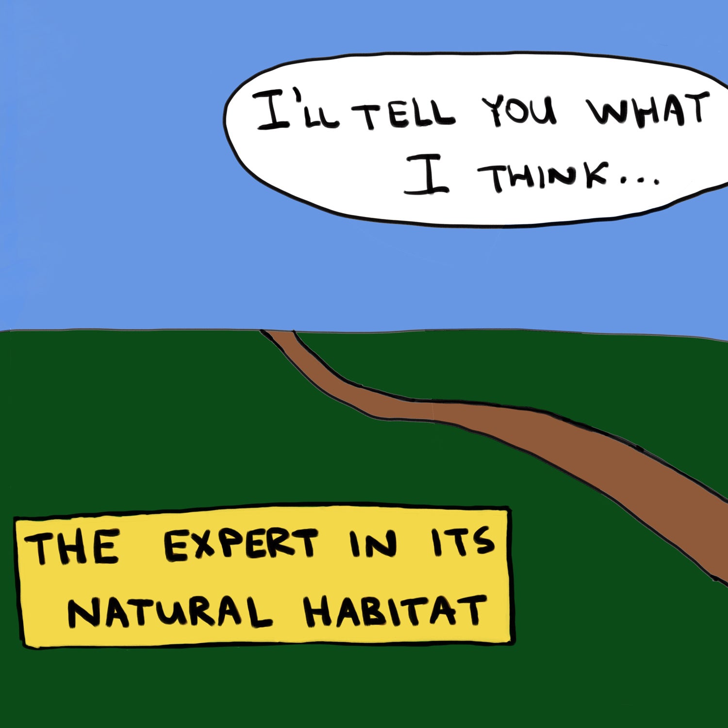 Sounding like an expert is pretty much synonymous with being a jerk.