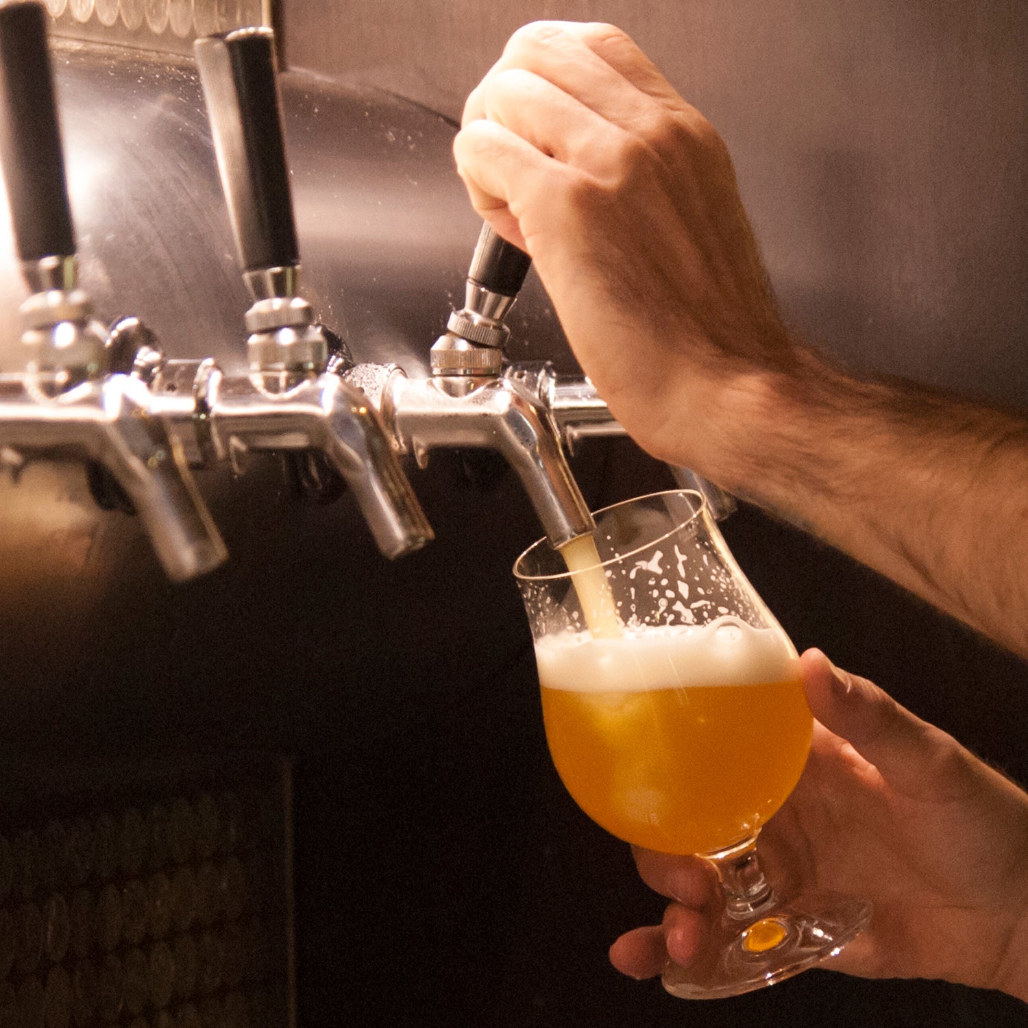 Craft Beers Are Selling Americans on Drinking Recycled Wastewater