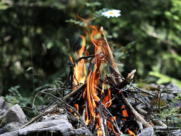 A fire requires oxygen, heat, and fuel. Supplying those three things it the key to starting one, and the key to keeping one going. And they all exist in abundance.