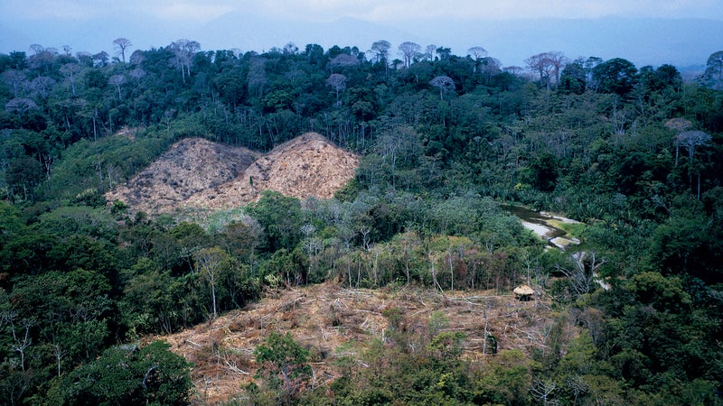 Clear-cuts near Boca de Cupe, a village in Dari茅n National Park