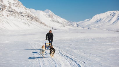 Man drives a dog team on Anaktuvuk Pass, Brooks Range, Alaska.