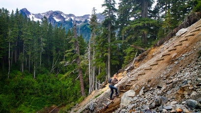 After a portion of trail washed out, a "ladder" was put in place for hikers to continue on the Hoh River trail.