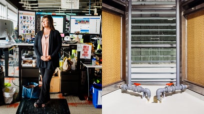 Facebook's Ristine Williams (left) and cooling system (right).