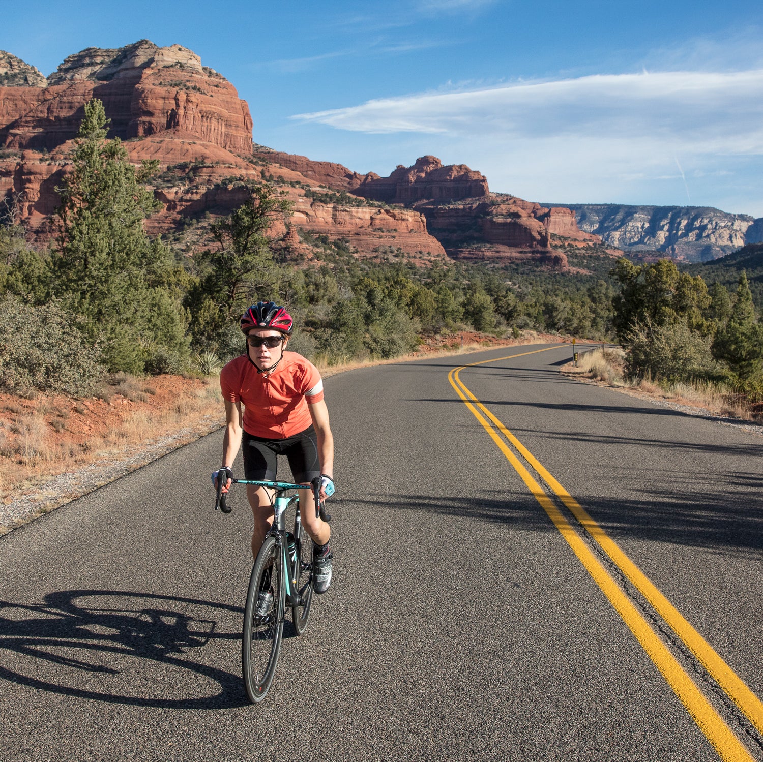 Expensive road online bicycles