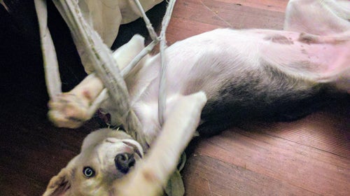 Enjoying some peace and quiet? Maybe it's too quiet...