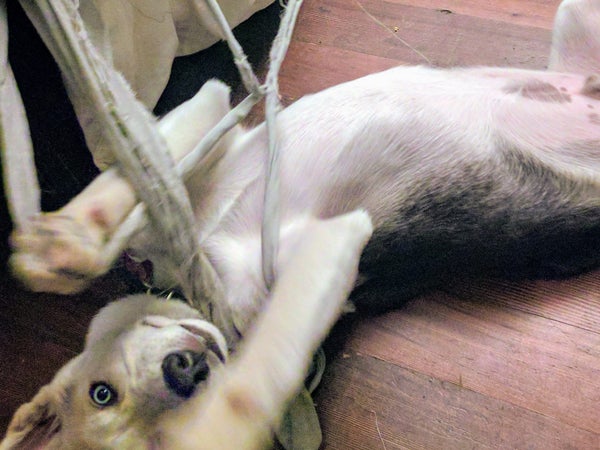 Enjoying some peace and quiet? Maybe it's too quiet...